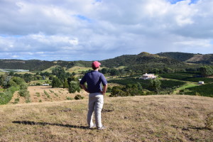 View from the top of Simon's property