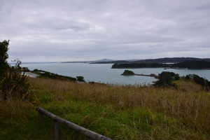 View from the beer bench